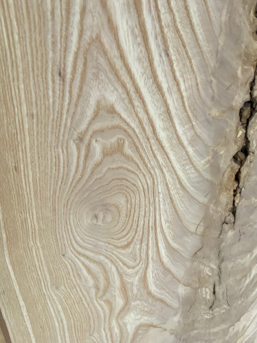 の*ん様 ❤️開花株❤️超大株❤️☘️639 【Ashwood】【ASHWOOD Ash Slabs – Urban Wood Company