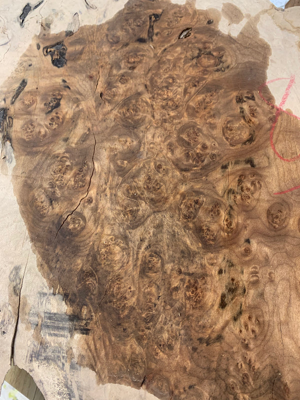 Figured Wood Collection