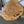 Load image into Gallery viewer, Chinese Elm #FWC003