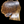 Load image into Gallery viewer, Chinese Elm #FWC011