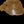 Load image into Gallery viewer, Chinese Elm #FWC012