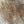 Load image into Gallery viewer, Black Walnut #BW406