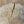 Load image into Gallery viewer, Maple Cookie #MP207