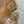 Load image into Gallery viewer, Chinese Elm #FWC010