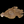 Load image into Gallery viewer, Chinese Elm #FWC010