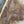 Load image into Gallery viewer, Black Walnut #BW15109