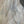 Load image into Gallery viewer, Sycamore #SY102