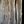 Load image into Gallery viewer, Black Walnut #BW901