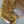 Load image into Gallery viewer, Chinese Elm #FWC012