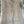 Load image into Gallery viewer, Black Walnut #BW406