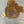 Load image into Gallery viewer, Chinese Elm #FWC018