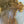 Load image into Gallery viewer, Chinese Elm #FWC018