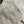 Load image into Gallery viewer, Maple #MP1501