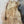 Load image into Gallery viewer, Maple #MP33