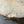Load image into Gallery viewer, Maple Cookie #MP207