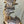 Load image into Gallery viewer, Chinese Elm #FWC007