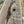 Load image into Gallery viewer, Black Walnut #BW15167