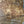 Load image into Gallery viewer, Chinese Elm #FWC006