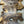 Load image into Gallery viewer, Chinese Elm #FWC007