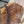 Load image into Gallery viewer, Black Walnut #BW15101