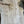 Load image into Gallery viewer, Maple #MP1501