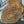 Load image into Gallery viewer, Chinese Elm #FWC006