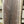 Load image into Gallery viewer, Black Walnut #BW010