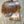 Load image into Gallery viewer, Chinese Elm #FWC011