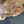 Load image into Gallery viewer, Chinese Elm #FWC005