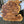 Load image into Gallery viewer, Chinese Elm #FWC004