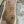 Load image into Gallery viewer, Black Walnut #BW15130