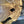 Load image into Gallery viewer, Chinese Elm #FWC003