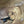 Load image into Gallery viewer, Chinese Elm #FWC005