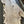 Load image into Gallery viewer, Red Elm #RE2311