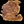 Load image into Gallery viewer, Chinese Elm #FWC004