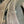 Load image into Gallery viewer, Black Walnut #BW15153