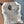 Load image into Gallery viewer, Black Walnut Slab #BW15236 #CB