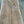 Load image into Gallery viewer, Black Walnut #BW2310