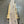 Load image into Gallery viewer, Black Walnut #1579