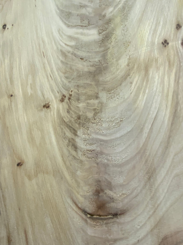 American Elm Slabs