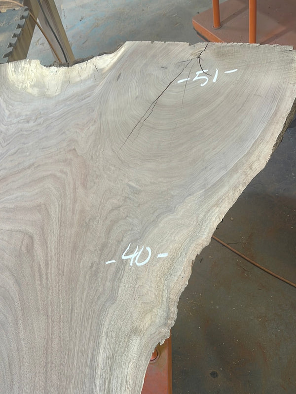 Black Walnut #BW413