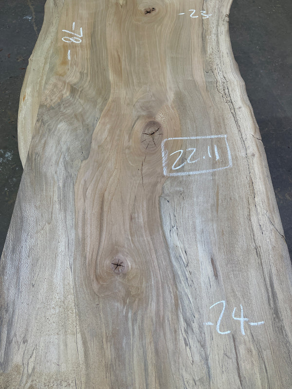 Sycamore #SY102