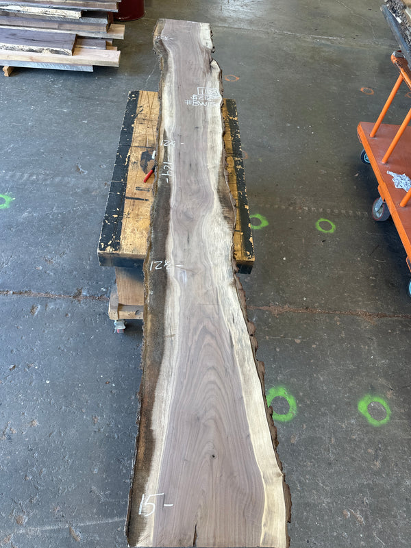 Black Walnut #BW156