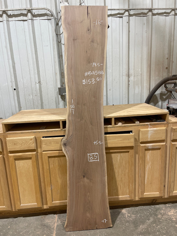 Black Walnut #BW1588