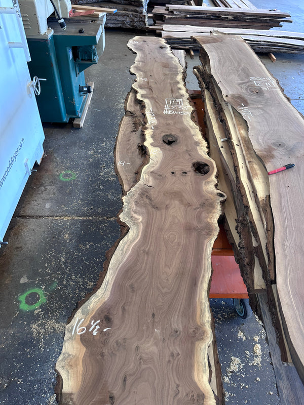 Black Walnut #BW1534
