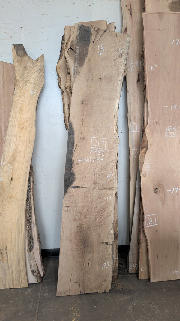 White Oak Live Edge Slab #WO234, 21.8 BF, 96 in. Long