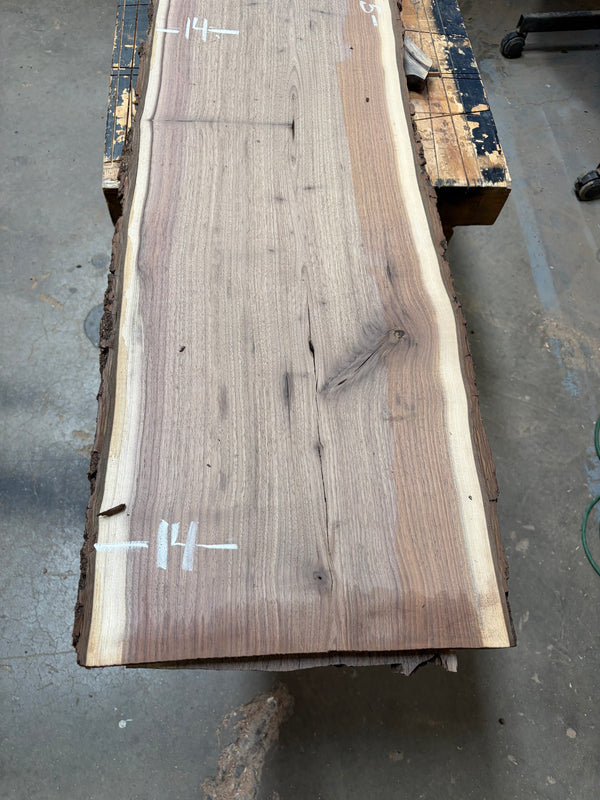 Black Walnut #BW1524