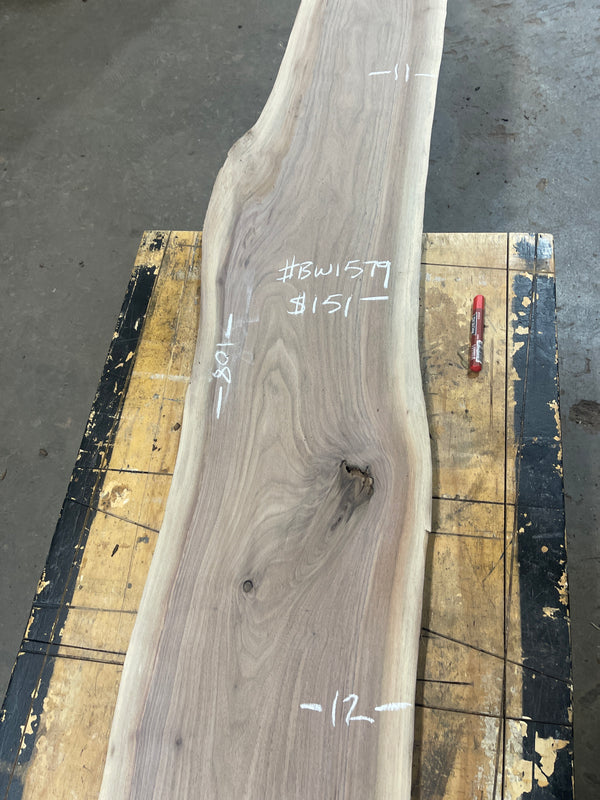 Black Walnut #1579