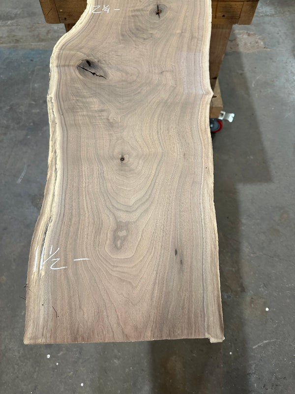 Black Walnut #BW1528