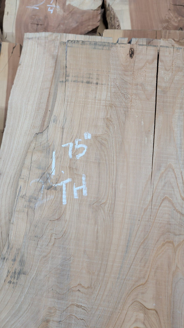 Bald Cypress live edge slab #CY04, end detail